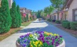 a small street with houses and trees